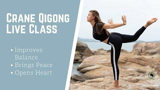 Crane Qigong Live Class | QigongLady