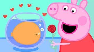 ️ Peppa Loves Goldies the Fish - Valentine's Special