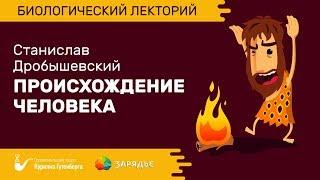 Биолекторий | Происхождение человека – Станислав Дробышевский