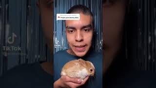 I hope your bunny  tiktok