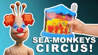 Sea-Monkeys Circus | RARE! + GIVEAWAY!