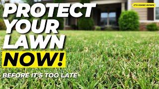 FORTIFY Your Lawn: 3 Steps for UNBEATABLE Results!