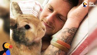 Amazing Rabbit Changes Man's Mind About Animals - CHIEF BRODY | The Dodo - Happy Father's Day!