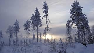 Karelia In Winter ( Карелия зимой )