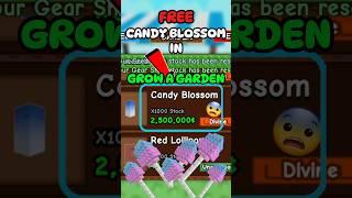 CANDY BLOSSOM IS BACK IN GROW A GARDEN #roblox #growagarden #robloxshorts #shorts