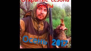 Открытие сезона охоты "Осень2017" \\  Охота на уток #1