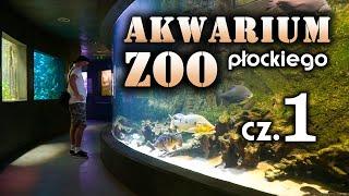 Akwarium PŁOCKIEGO ZOO - przegląd zbiorników CZ.1