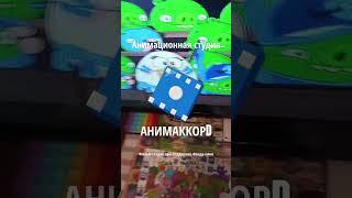 Заставка Анимационная Студия Анимаккорд @PushokandRossikRussia