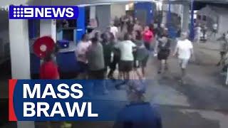 Fight at Sydney greyhound racing | 9 News Australia