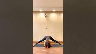 Back Flexibility Easy Stretch  Flow #Yoga #shorts #yogapractice