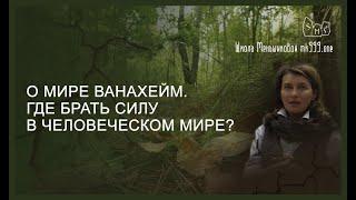 О мире Ванахейм. Где брать силу в человеческом мире?