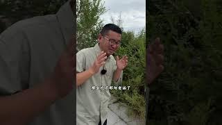 这里！被称为第0次世界大战！#沈阳文旅#世界大战 #沈阳历史5