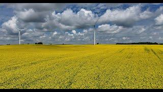 4K Aerial Footage of Blooming Canola - 2 Hours with Relaxing Piano Music