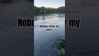 #tylersreelfishing