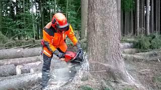 Chainsaw Husqvarna 572 XP Garden and Forest Original YouTube Video