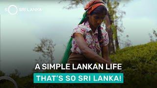 Simple Life | So Sri Lanka