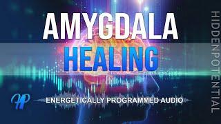 Amygdala Healing: Release Fear & Anxiety (Energetically Programmed Audio) Ver.02