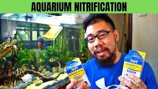 What is the Nitrogen Cycle? (Super Easy Explanation)