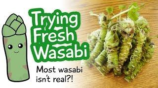 Trying Fresh Wasabi - Most wasabi isn't real?!