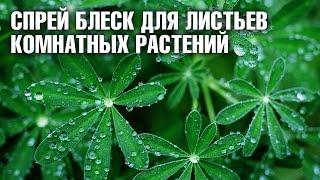 Спрей блеск для листьев комнатных растений  как пользоваться.