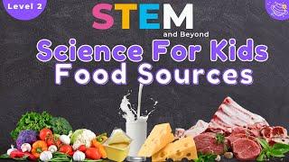 Food Sources | Science For Kids |