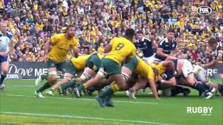 Scotland celebrate in Sydney