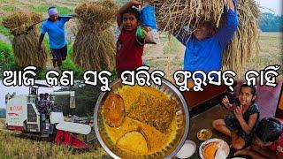 ଆଜି କଣ ସବୁ ସରିବ ଫୁରୁସତ୍ ନାହିଁ l ଆମ୍ବୁଲ ମାଛ  l Gouranga Nayak Odia Vlogs