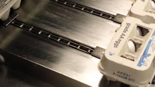 Egg Carton Coding Solutions by Squid Ink Manufacturing