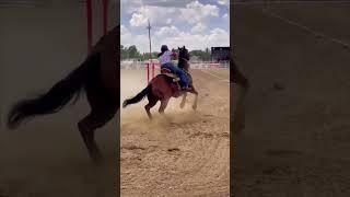 #nsca #omoksee #horse #rodeo #horseshow #western #westernriding #aqha #youtubeshorts #subscribe