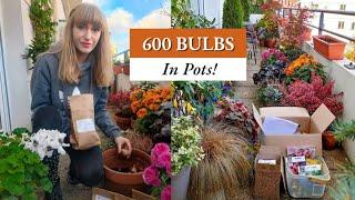 I Planted 600 BULBS In Pots On My Balcony!