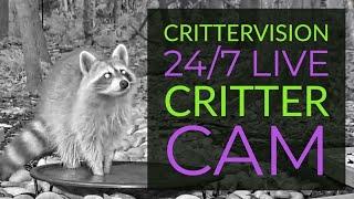 CritterVision Wildlife Critter Cam