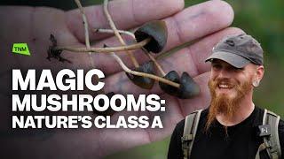 Magic Mushrooms: A guide to the UK picking season