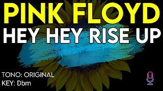 Pink Floyd - Hey Hey Rise Up - Karaoke Instrumental