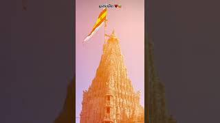 It is a Gujarat from dwarikadish #dwarikanath #gujratdwarika #jayshrikrishna ️