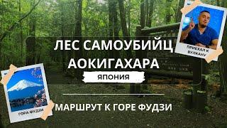 Лес самоубийц в Японии - Аокигахара. Гора Фудзи, или вулкан Фудзияма? | Путешествие в Японию