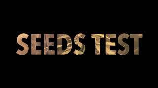 Errors Seeds Test