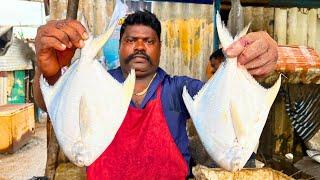 KASIMEDU  SPEED SELVAM | WHITE POMFRET FISH CUTTING VIDEO | IN KASIMEDU | FF CUTTING 