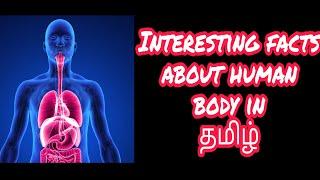 Interesting and amazing facts about Human body in தமிழ்|Mithi facts