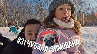 #31 Чубака-зимовака