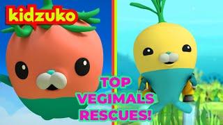 @Octonauts -  ️ Saved by the Vegimals!  | Spectacular Land and Sea Rescues Compilation | Kidzuko​