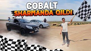 SHARMANDA QILDING COBALT