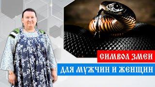 Символ змеи. Змея для мужчин и женщин | Арина Никитина