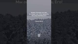Псалом 99:1-5 в современном переводе #библия #biblevision
