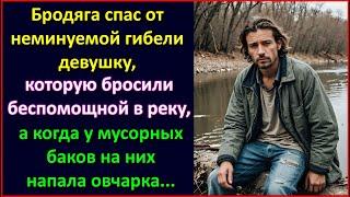 Бродяга спас девушку которую беспомощной бросили в реку, а когда на помойке на них напала собака.