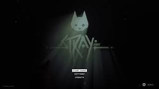 stray 03