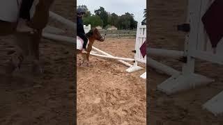 Here the video of me, riding  peaches!