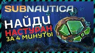 Subnautica Где найти настуран