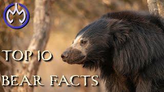 Top 10 ACTUAL Bear Facts - Short documentary with bear attacks, and types of bears