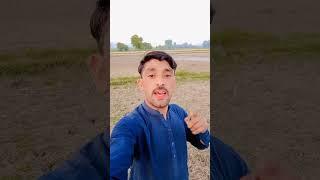 #funny #comedy #