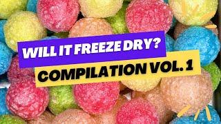 Ultimate Freeze-Dried Candy Compilation! DIY Mr. Beast Feastables and More! ASMR Relaxation